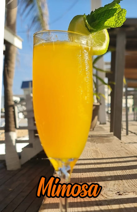 Mimosa